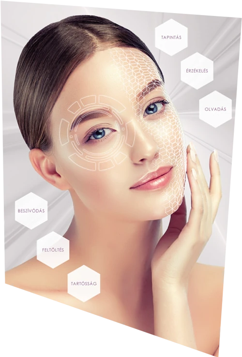 Miért éppen a Mesotica?